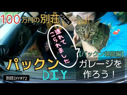 【別荘DIY #72】いよいよ小屋内壁施工！いや、ほぼパックンDIY！／貯めた小遣い100万円で築41年190坪土地付き別荘買った