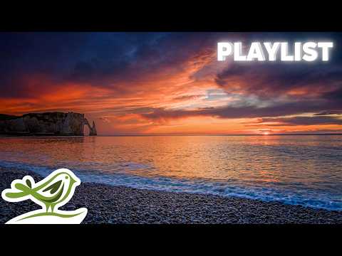 Relaxing Piano Music Playlist with Ocean Waves in the Sunset | Relax, Sleep, Focus