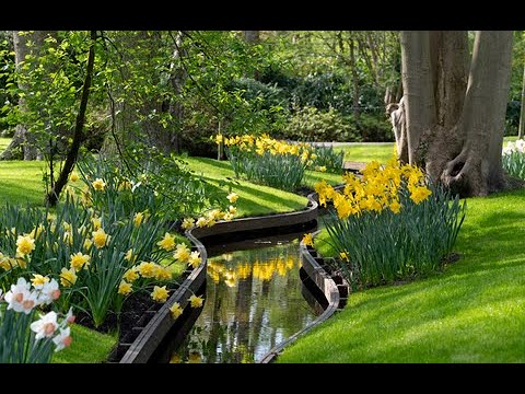 Visit Keukenhof Gardens from a Holland barge or river cruise