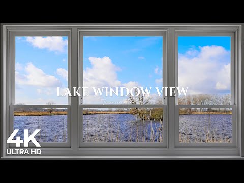 4K lake Window View with animals on a sunny day - Relaxing, Calming, Ambience,