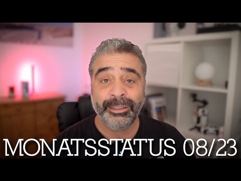 Monatsstatus August 2023 | Hat mein Oldtimer WoMo TüV bekommen?