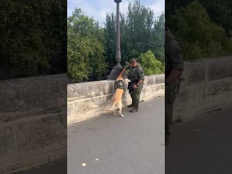 K9 Presley & MPO Vella working hard to keep our #2024Olympics athletes, spectators, and staff safe!