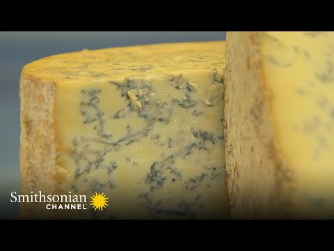 The Microscopic Activity That Produces the World’s Great Cheeses | Smithsonian Channel