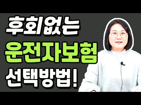 운전자보험 총정리! 이달은 여기가 정답