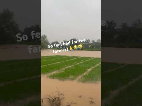 POOR FAMER I HIGH FLOOD I LOW PRESSURE AREA I CALAMITY EXPERIENCE #share #viral #amazing #calamity