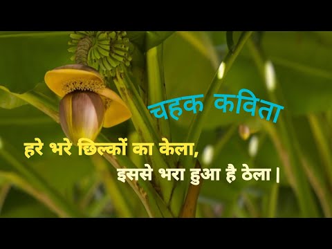 हरे भरे छिलकों का केला |Hare bhare chilko ka kela | चहक कविता | Hindi poem #bananapoem #jigutoons