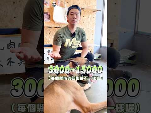 遛狗不牽繩會被罰多少錢？ #shorts #寵物 #毛小孩 #寵物知識 #狗