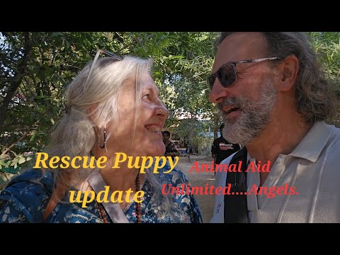 Rescued Puppy Update....it's good news!