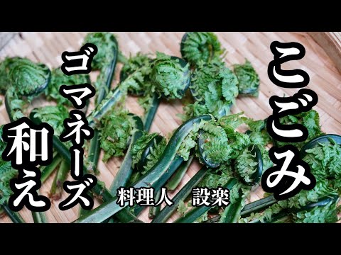 料理人が教える【こごみのごまネーズ和え】の作り方　茹でて混ぜるだけで気の利いた一品になります