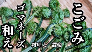 料理人が教える【こごみのごまネーズ和え】の作り方　茹でて混ぜるだけで気の利いた一品になります