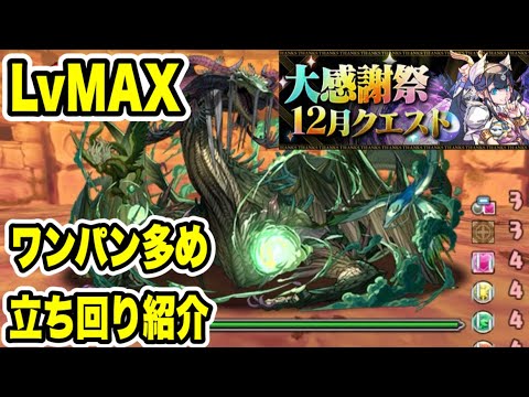 【まだマシ】大感謝祭チャレンジ‼️ ネフティス＆ペルセポネ LvMAX ワンパン多め立ち回り紹介！！【Part4】【パズル&ドラゴンズ/#パズドラ】