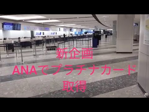 【新企画】ANA上級ステータス修行僧になりました