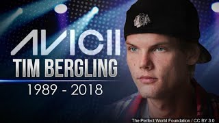 The Best of Avicii