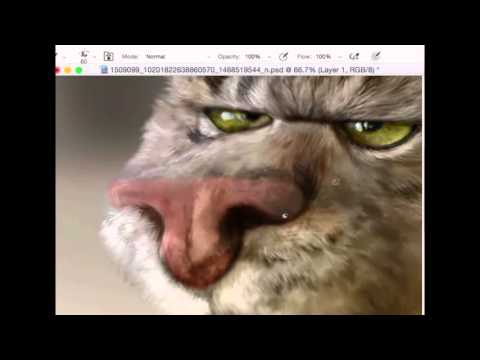 PHOTOSHOP-- coloring a cartoon cat!