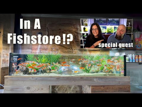 8 CRAZY Things I've Never Seen In A Fishstore! | Fish Gallery,TX