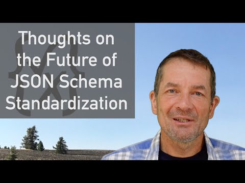 Thoughts on the Future of JSON Schema Standardization