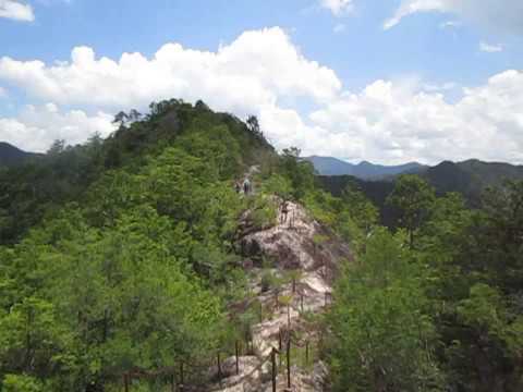 愛知県民の森　南尾根