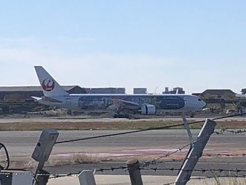 伊丹空港離着陸！12/20/2024　Plane Spotting　Osaka International Airport