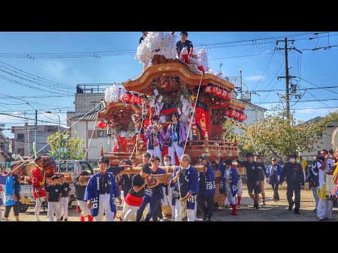 令和6年   大東市  住道地区(坐摩神社・八幡神社)秋祭り  泉公園4台だんじり退場