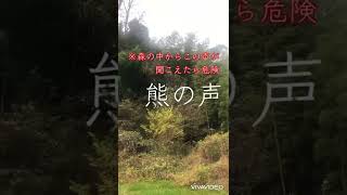 【危険】森の中から威嚇する熊の声