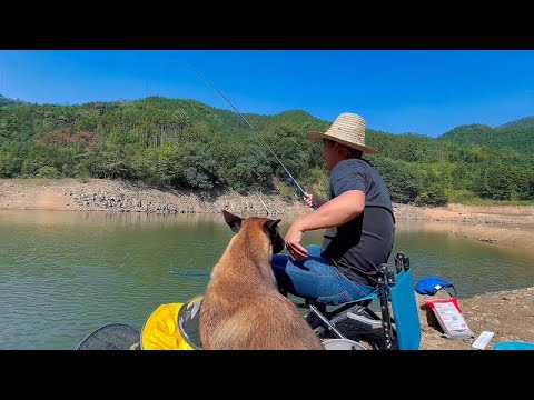 The young man takes the dog fishing deep into the mountain. The dog bought this 1300 is really smar