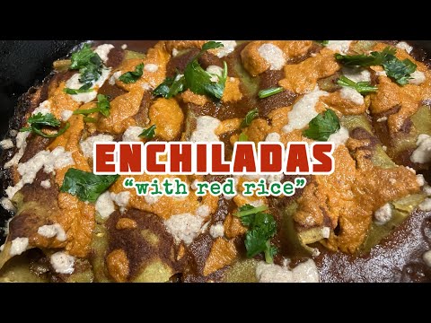 VEGAN ENCHILADAS *THE BEST I EVER HAD*