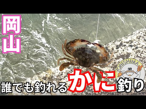 【釣り】故郷がカニの特産地らしいから20年ぶりに釣ってみた#釣り #岡山 #岡山グルメ #晴レル家 #かに #カニ #蟹