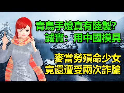 青鳥手燈真有陸製？誠實答：用中國模具｜麥當勞殞命少女竟還遭受兩次詐騙！🍓20241225 #高雄林小姐 #Vtuber​​​​ #台灣Vtuber​​​ #台V