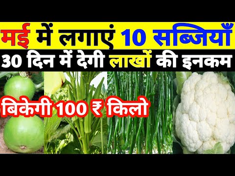 May 2024 me konsi sabji lagaye | May me sabji ki kheti | Vegetable to grow in may |Sabji ki kheti