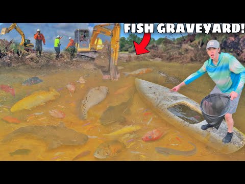 Saving EVERY Fish From DESTROYED Abandoned Pond!