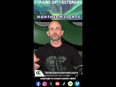 Strains of Yesterday - Northern Lights