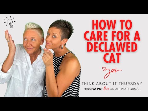 Caring For Declawed Cats | Think About It Thursday | Two Crazy Cat Ladies