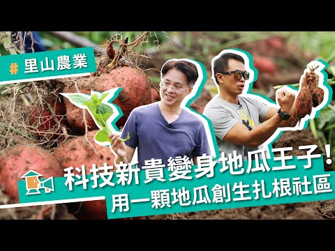 【新北金山－汪汪地瓜園】科技新貴變身地瓜王子！用一顆地瓜創生扎根社區