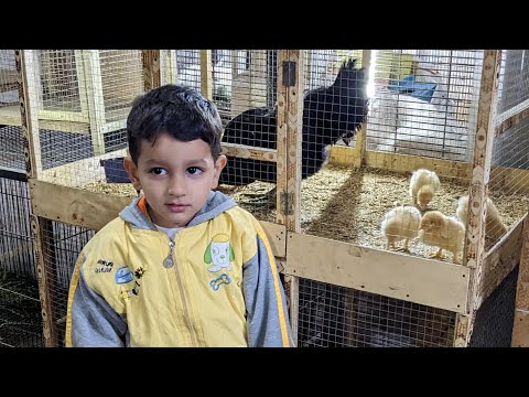 Visit to Pakistan Biggest Pets Market