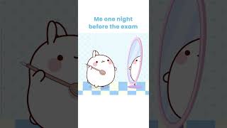 Me one night before the exam.#shorts #molang #cartoonforkids #kidsshowsclub