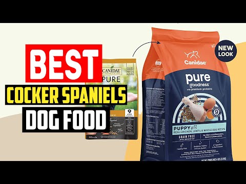 ✅Top 5 Best Dog Food For Cocker Spaniels You Can Buy In 2023