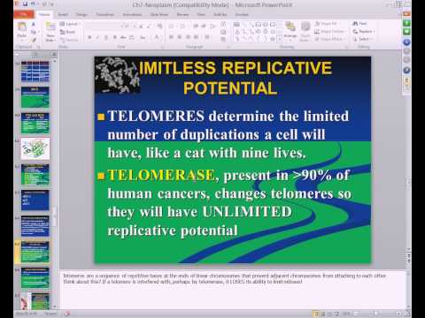 Medical School Pathology, 2013 Season, Session #12: Neoplasia II