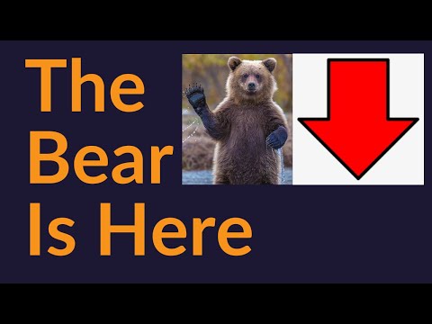 The Bear Market Is Here (And How To Survive It)