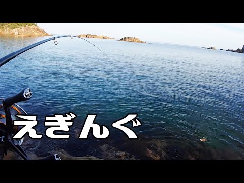 エギングでイカが釣れた日。