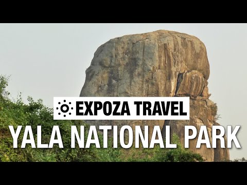 Yala National Park (Sri Lanka) Vacation Travel Video Guide