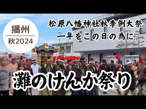 熱気上昇‼︎灘のけんか祭り2024🤜🤛其の十七