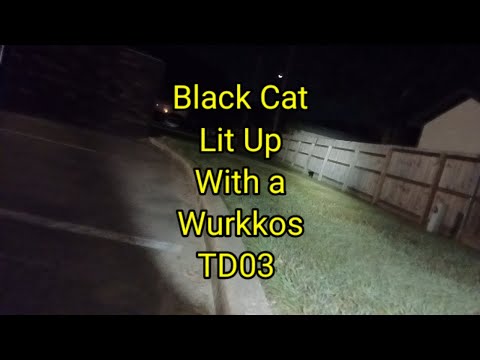 (1573)  Black Cat lit up with Wurkkos TD03