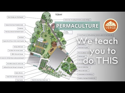 Our World Renowned Permaculture Design Course Starts Nov 18 - Are You Joining Us?