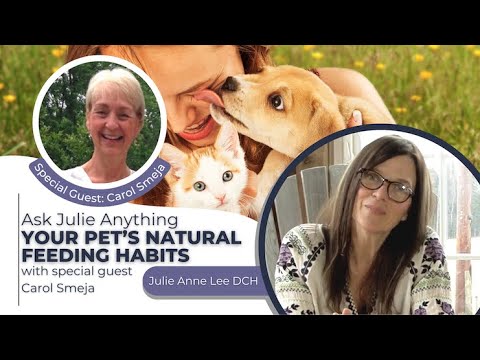 The Science Behind HOW You Feed Your Pet - Special Ask Julie Anything with guest Carol Smeja