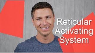 Reticular Activating System