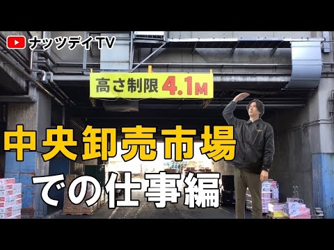 【年商1200万円の道】  中央市場編｜ネット通販｜ECモール｜ネットショップ｜通販学び