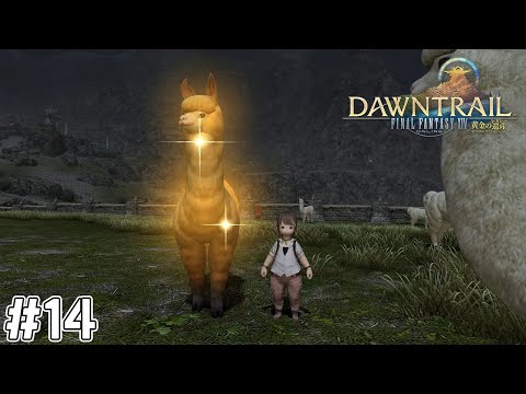 【FF14実況】アルパカ捕獲作戦#14【黄金のレガシー】