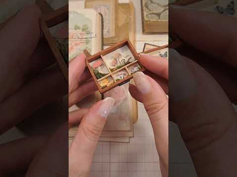 Tiny Miniature curiosity box #shorts