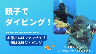 親子でダイビング！｜バリ島トランベンの水中世界を楽しむ