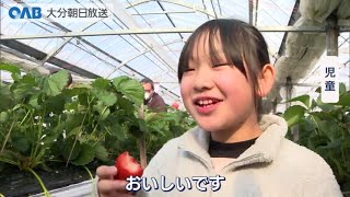 【大分】道の駅竹田　観光イチゴ農園オープン